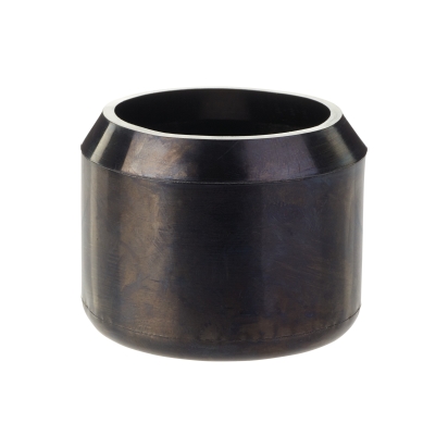 Dust guard cap